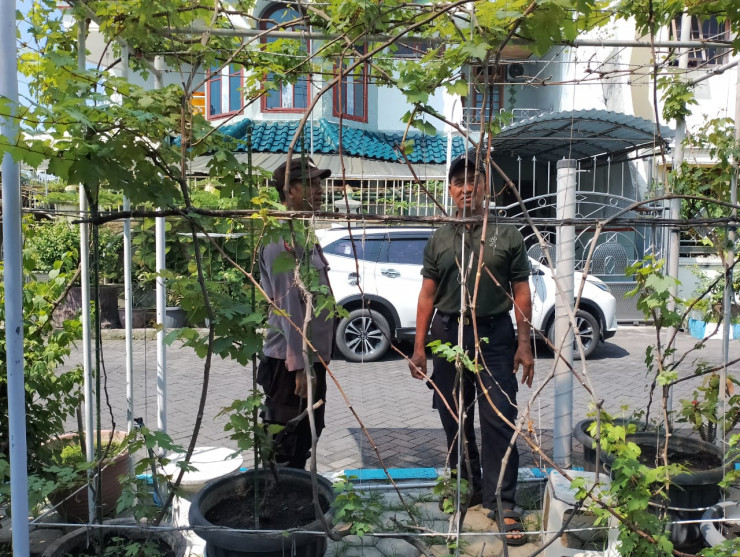 Bhabinkamtibmas Sambangi Warga Penggerak Ketahanan Pangan di Kecamatan Sedati