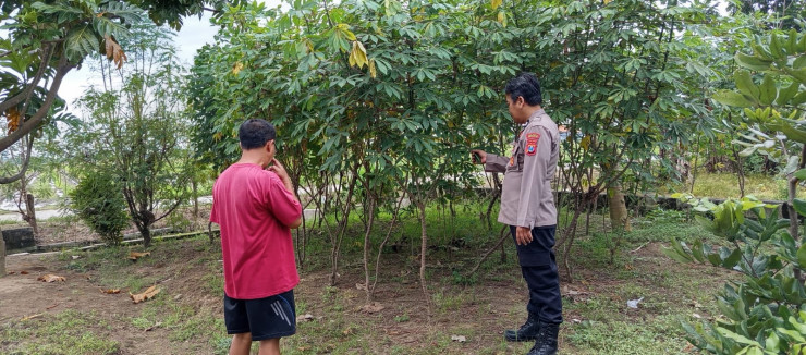 Polsek Wonoayu Tinjau Perkembangan Lahan Ketahanan Pangan