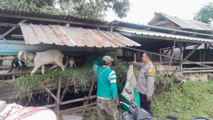 Bhabinkamtibmas Sukodono Patroli Ketahanan Pangan Nasional di Pedesaan