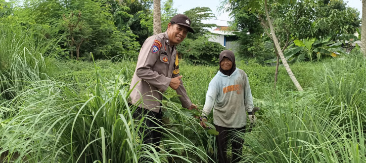 Bhabinkamtibmas Desa Sadang Dukung Ketahanan Pangan Polresta Sidoarjo, Bantu Petani Serai dan Jeruk