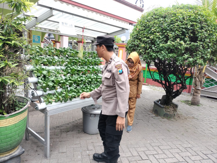 Bhabinkamtibmas Tenggulunan Polsek Candi Cek Ketahanan Pangan Melalui Program Hidroponik P2B