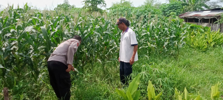 Kapolsek Tarik Masifkan Program Sambang Desa Dukung Ketahanan Pangan Nasional