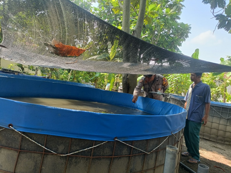 Polsek Wonoayu Tinjau Progres Lahan Ketahanan Pangan Bergizi