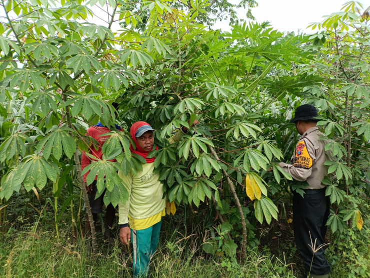 Kanit Binmas Polsek Krembung Apresiasi Warga Panen Ikan Gurami