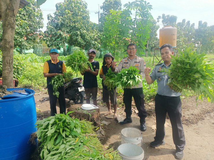 Polsek Porong bersama Anggota Lapas Klas 1 Lakukan Peninjauan Program Ketahanan Pangan di Desa Kebonagung